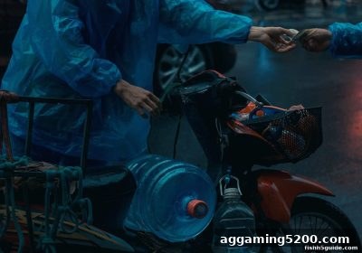 捕鱼达人h5玩家必读：TRC20转账迟迟不到账？这份排查指南帮你搞定