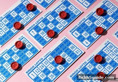捕鱼达人h5跨界启示：泰达币彩票技术进化与大小球新玩法