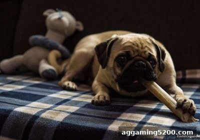 捕鱼达人h5教你玩转存款赠送额外奖励：不计输赢红包的秘密
